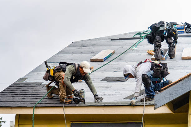 Professional Gutter Installation technician working in Lexington, MN